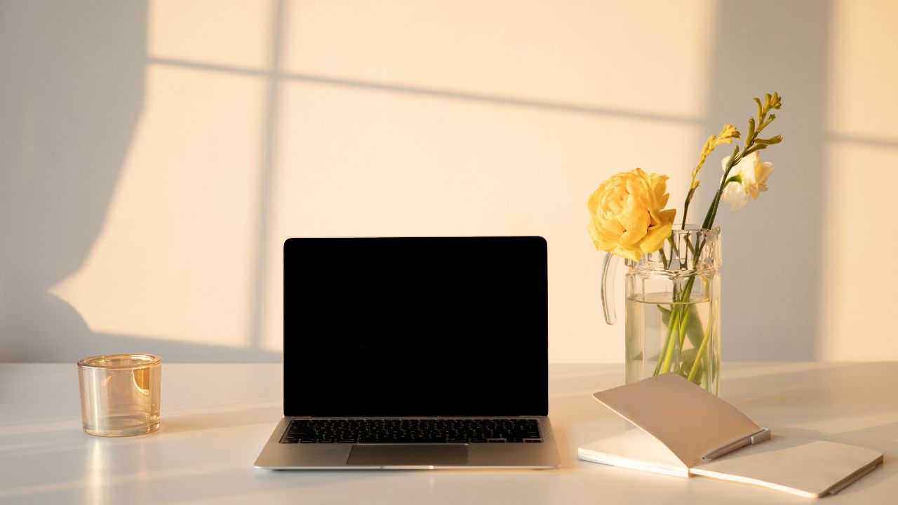 pro-banner